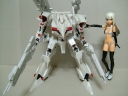 AVA zCgp[Ver.